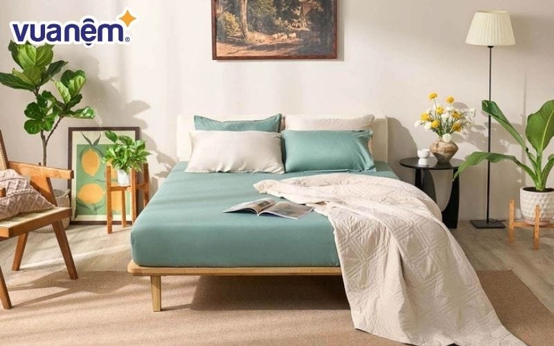 Bộ chăn ga Amando Cozy