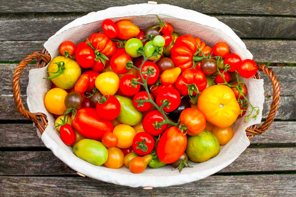 Hướng dẫn cách bảo quản cà chua tươi lâu hơn