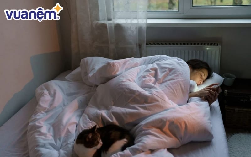 Bed Rotting sẽ trở nên tiêu cực nếu bị lạm dụng quá đà