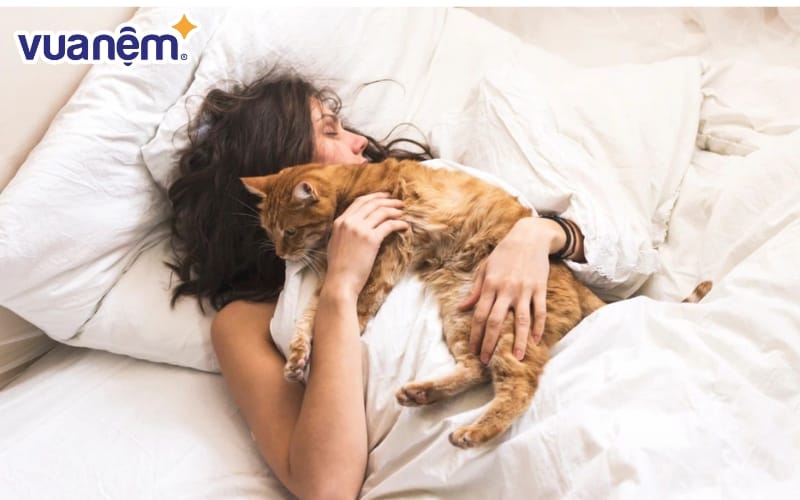 Bed Rotting – nằm dài cả ngày là hoạt động nghỉ ngơi phổ biến với thế hệ trẻ