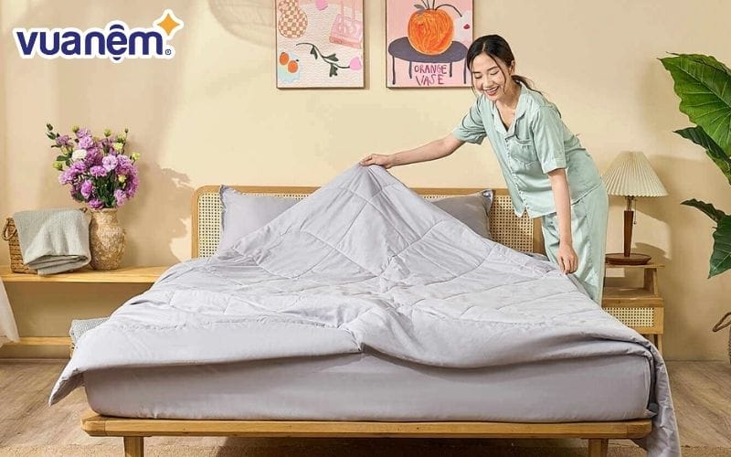 Bộ chăn ga chun Amando Rina