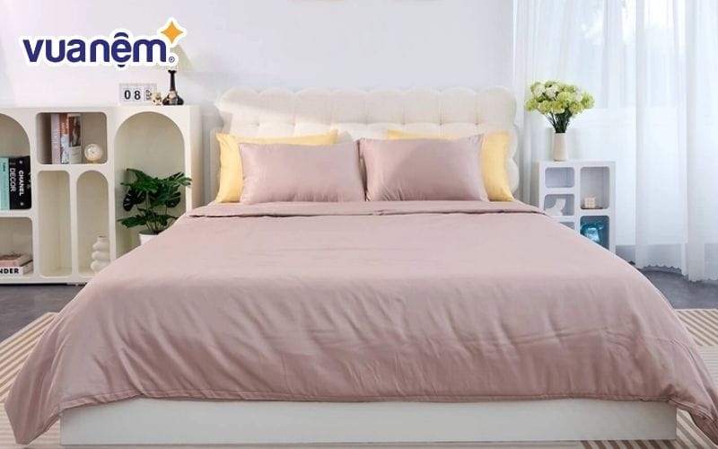 Bộ ga chun tencel VC Goodnight Airsilk