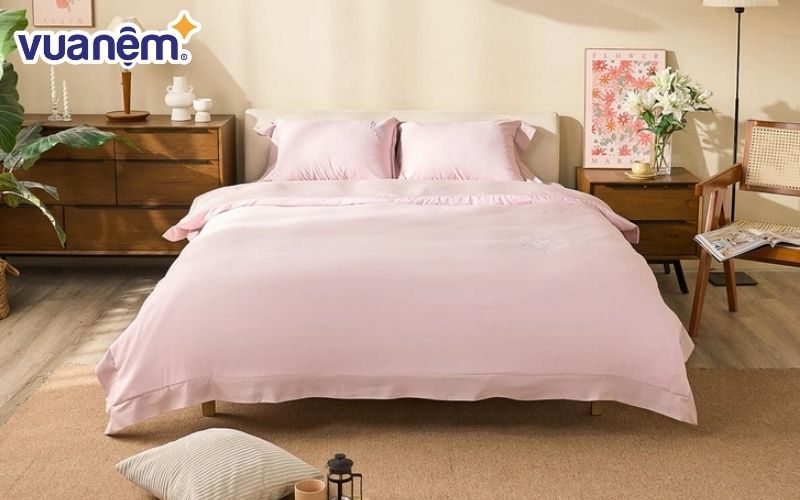 Bạn không nên đầu tư vào một sản phẩm có khả năng tích tụ quá nhiều bụi