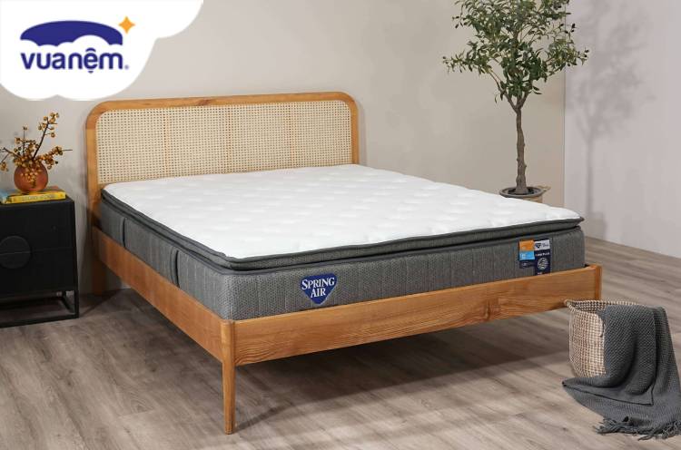 đánh giá Nệm Lò xo Spring Air Back Supporter Firm Plus