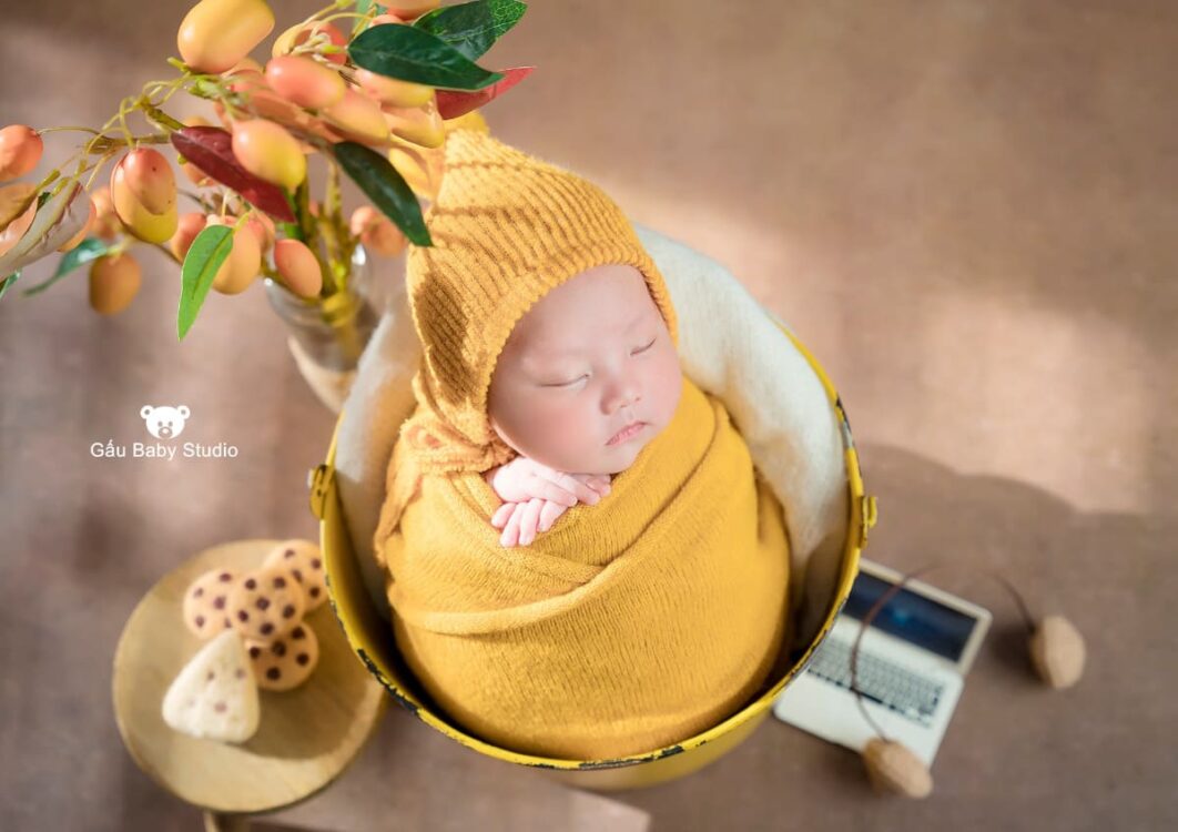 gấu baby studio chụp ảnh cho bé cho bé tại Bình Dương