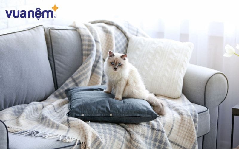 Những chiếc gối tựa lưng làm từ bông gòn nên được giặt bằng tay