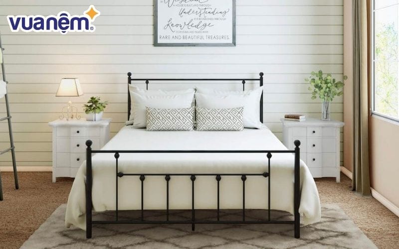 Hiện nay ở trên thị trường có nhiều loại giường sắt khác nhau