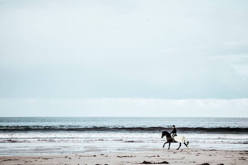 hình nền chú ngựa với biển may mắn mệnh thủy