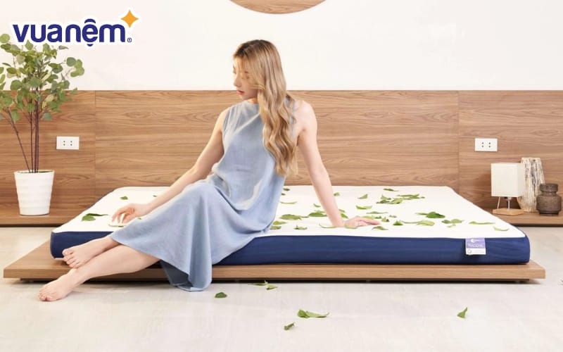 Vua Nệm - Thương hiệu sở hữu nhiều sản phẩm chất lượng, uy tín