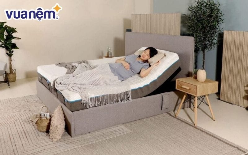 Nên mua giường điều chỉnh ở địa chỉ uy tín để đảm bảo chất lượng