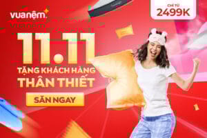 Khuyến mãi Double Day 11/11 ưu đãi dành riêng cho khách hàng thân thiết