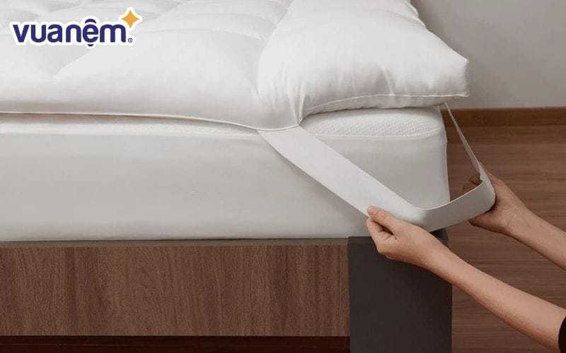 Tấm bảo vệ nệm là một tấm lót tách rời ở phía trên của tấm nệm với kích thước vừa vặn với nệm.
