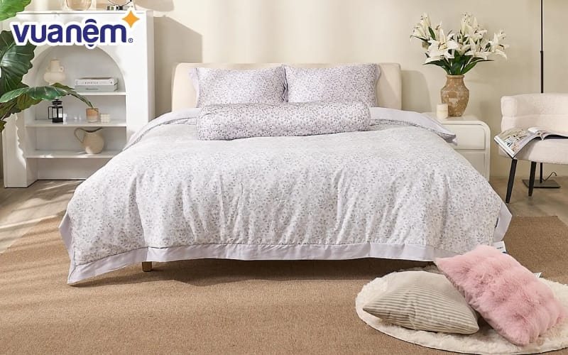 Giường và nệm là yếu tố quan trọng nhất quyết định sự thoải mái khi ngủ