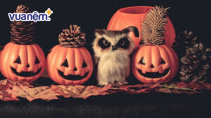 Biểu tượng Halloween là gì? Ý nghĩa của các biểu tượng Halloween