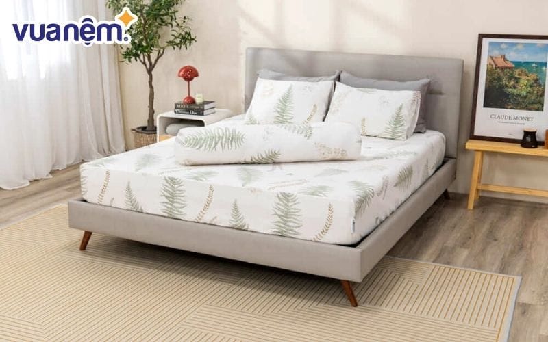 Bộ ga chun tencel Amando Celia 4 chi tiết