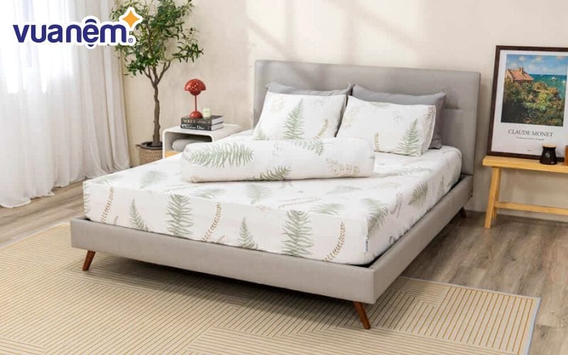 Bộ ga chun Amando Celia mang lại cảm giác dịu mát và dễ chịu khi tiếp xúc với da