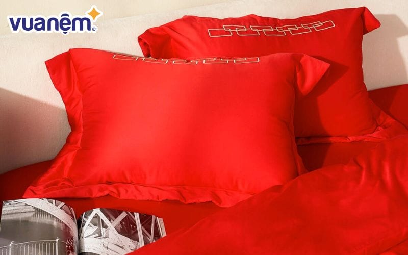 Màu đỏ đại diện cho sự tự tin và tràn đầy nhiệt huyết