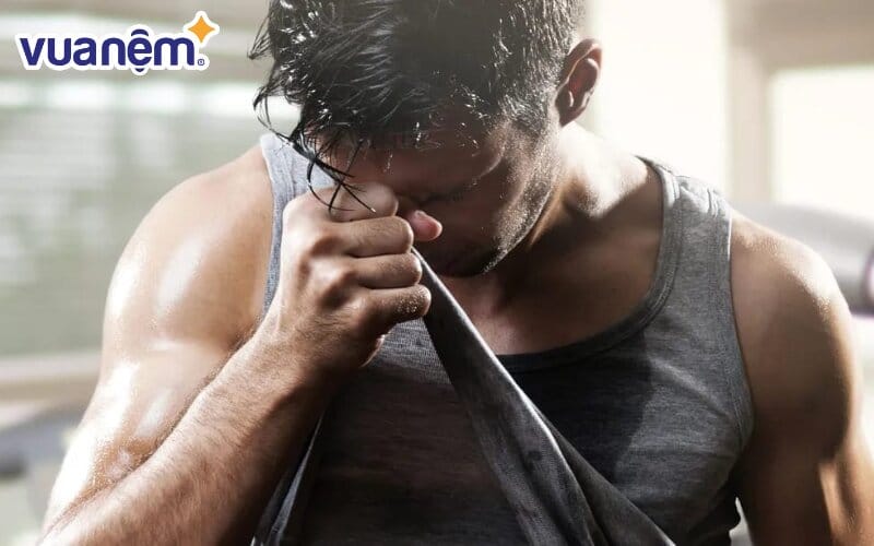 Vải thấm hút mồ hôi tốt thường là các loại sợi vải tự nhiên