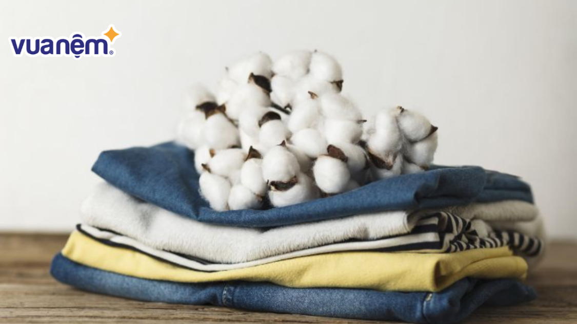 TOP 15 loại vải thấm hút mồ hôi tốt nhất khi mua chăn gối
