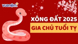 Chủ nhà tuổi Tỵ chọn người xông đất năm 2025 may mắn