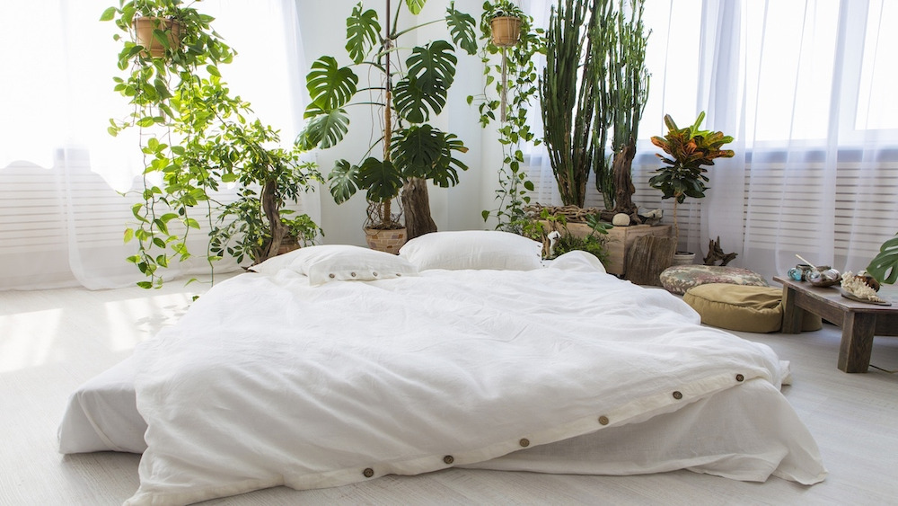 xu hướng thiết kế phòng ngủ theo phong cách Eco friendly 