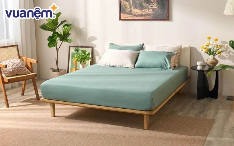 Ý nghĩa màu sắc chăn ga gối cho người mệnh Hỏa - Màu xanh lá là lựa chọn tốt khi người mệnh Hoả khi mua chăn, ga, gối