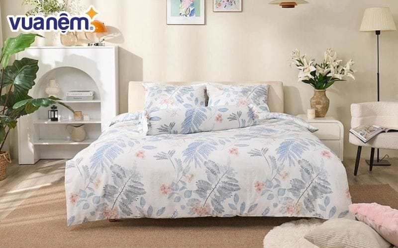 Bộ ga chun Amando Aleena 