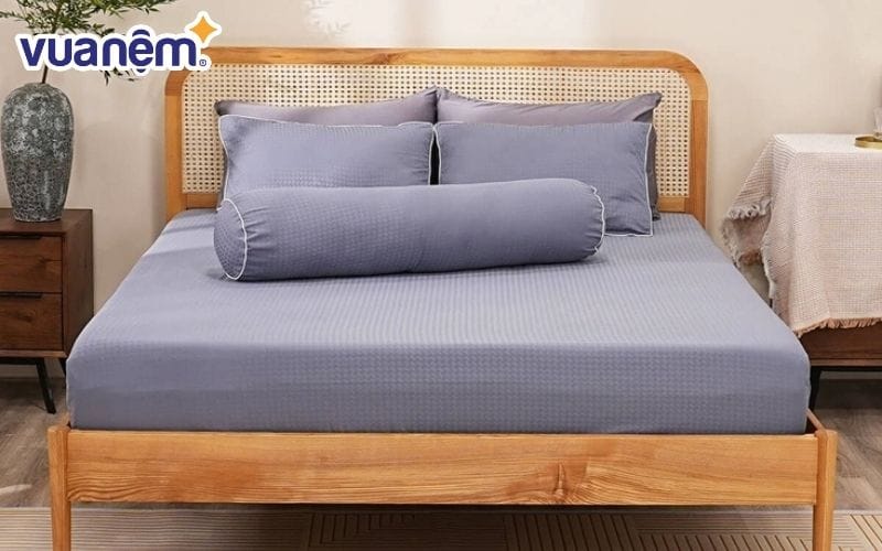 Bộ ga chun Amando Ellie 