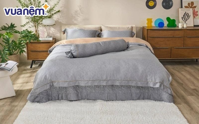 Bộ ga chun Amando Élan