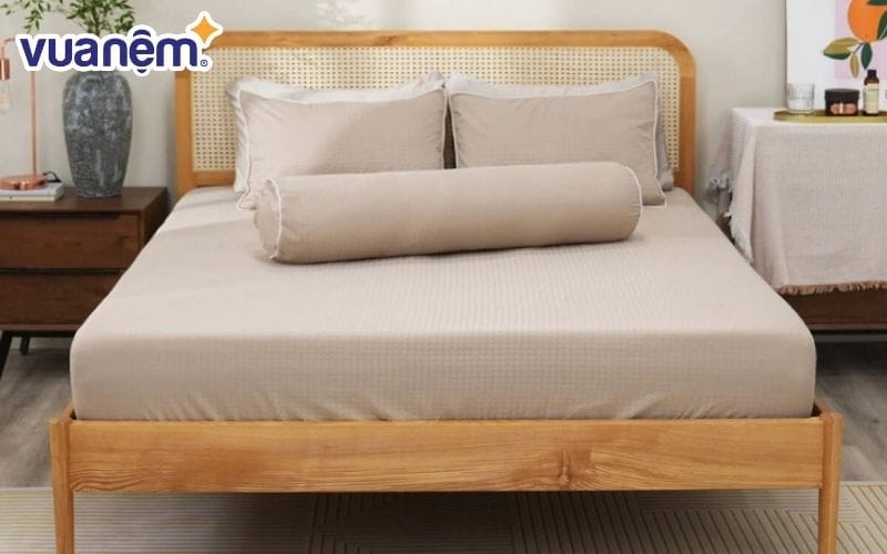 Bộ ga chun Amando Ellie 