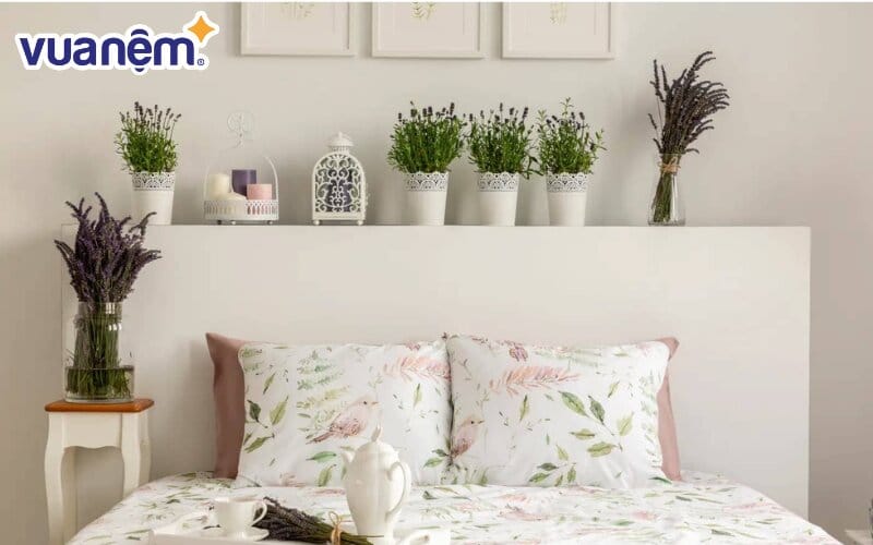 Hoa oải hương có hương thơm nhẹ nhàng tốt cho giấc ngủ