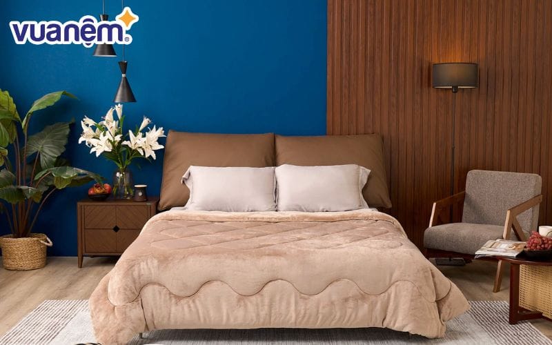 Các dòng chăn nhung tuyết của Vua Nệm được ưa chuộng nhờ độ mềm mại, giữ ấm tốt