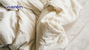 Chăn lông vũ bị vón cục – Nguyên nhân và cách xử lý