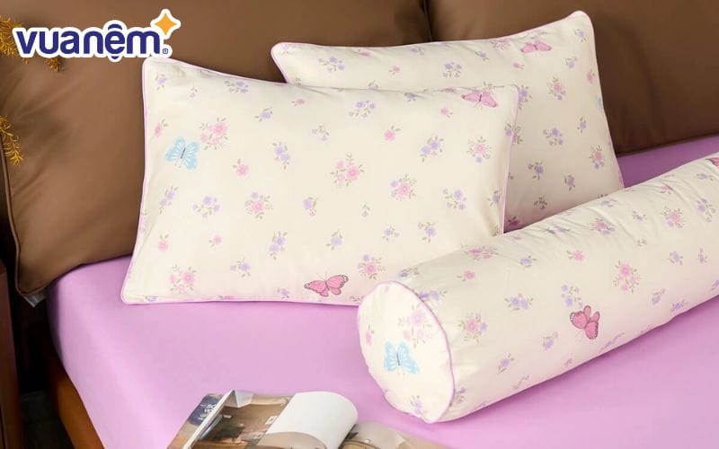 Bộ Ga chun Amando Comfort Cotton Select