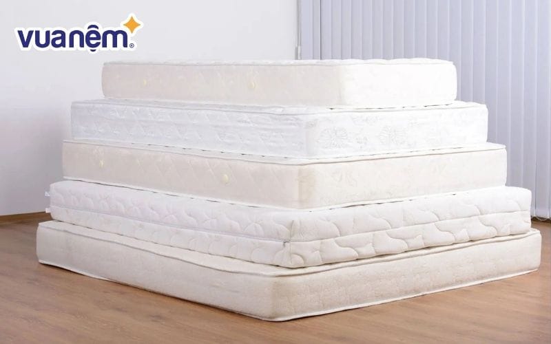 Độ dày nệm được chia thành 3 nhóm phổ biến