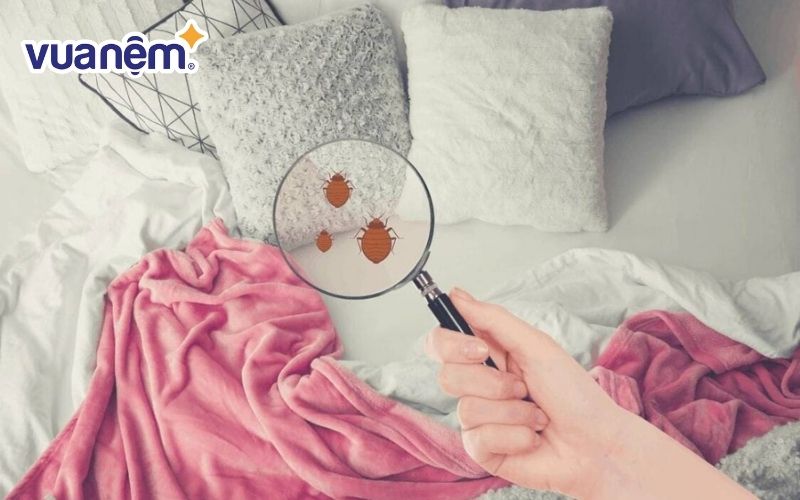 Gối bị nấm mốc và có mùi hôi khó chịu nếu không có khả năng thấm hút tốt