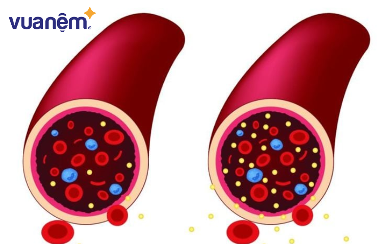 Cà chua giúp giảm lượng đường tồn tại trong máu