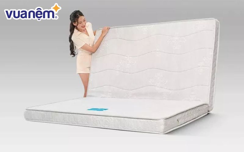 Những chiếc nệm nằm 2 mặt vẫn luôn được rất nhiều người tiêu dùng yêu thích