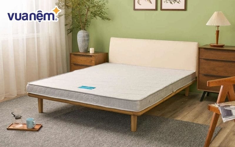 Nệm bông ép được nhiều gia đình lựa chọn nhờ độ phẳng cao, độ cứng vừa phải và khả năng nâng đỡ tốt cho cột sống.