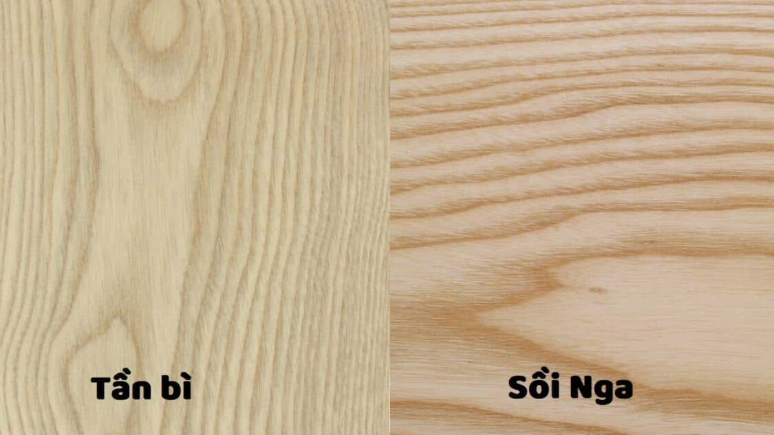 So sánh gỗ tần bì và gỗ sồi Nga