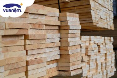 So sánh gỗ tràm và gỗ thông – Ưu-nhược điểm của hai loại gỗ này