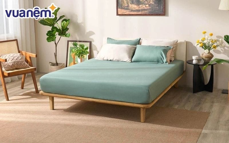 Bật mí cách chọn chăn ga gối làm quà tặng phù hợp với người mệnh Mộc