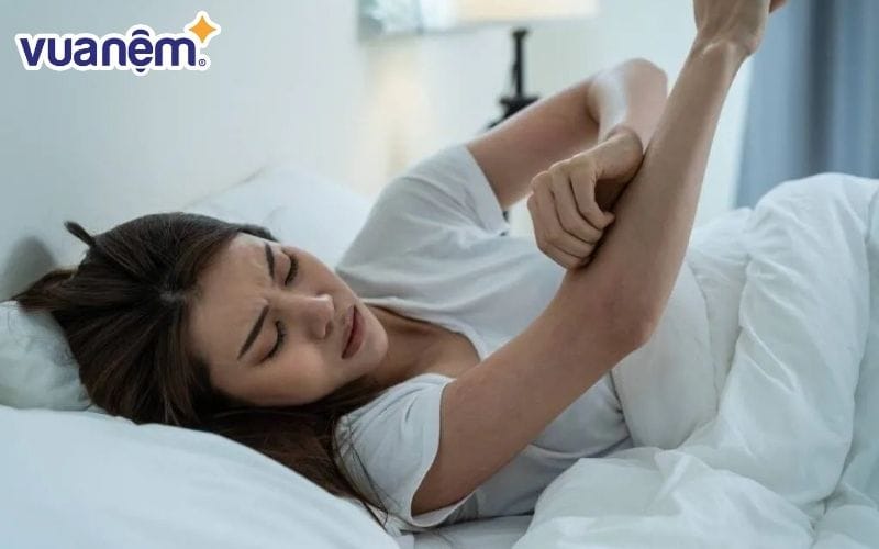 Thường xuyên trải qua tình trạng ngứa ngáy, dị ứng khi nằm nệm cao su