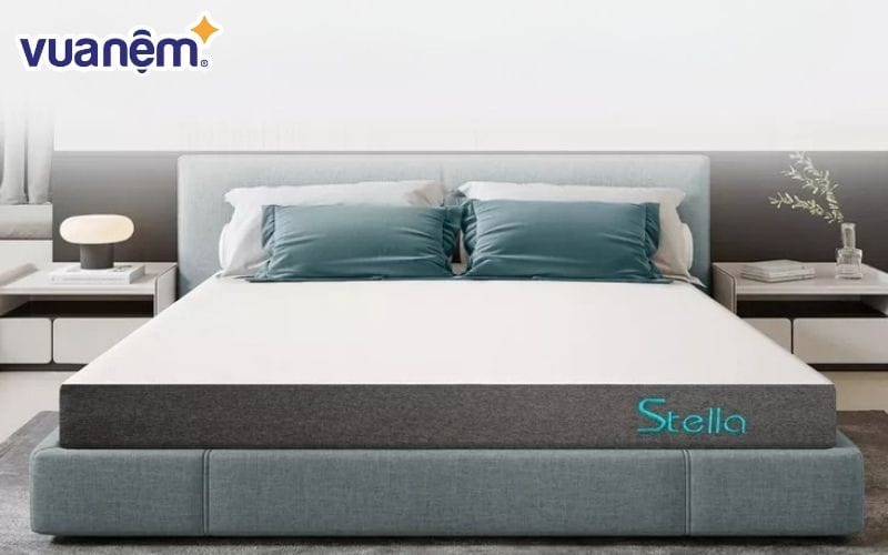 Thay nệm cao su bằng các sản phẩm nệm chất lượng tại Vua Nệm