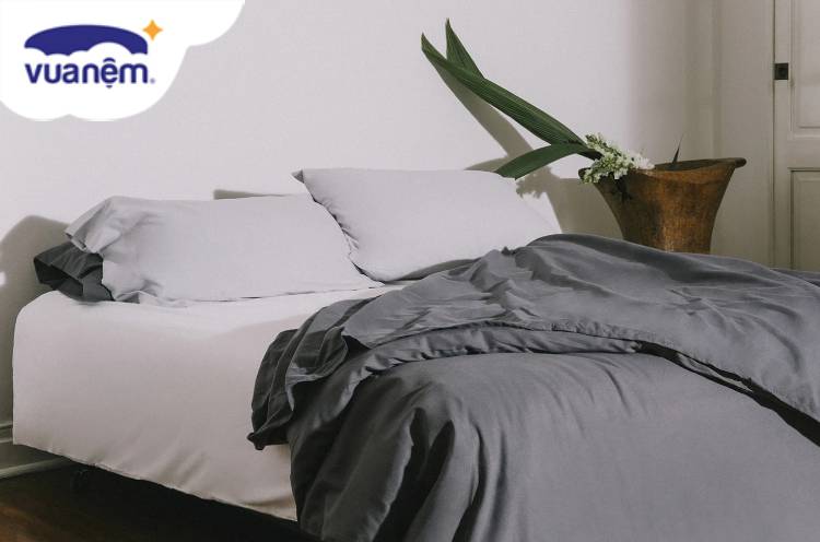 top bộ chăn ga gối microfiber