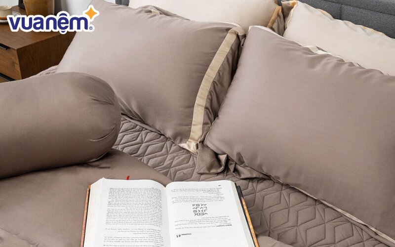 Màu nâu tạo cho không gian thêm phần thanh lịch, thoải mái