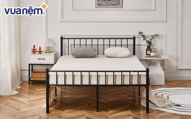 Chất liệu sắt không đắt đỏ nên giá thành sản phẩm rất hợp lý