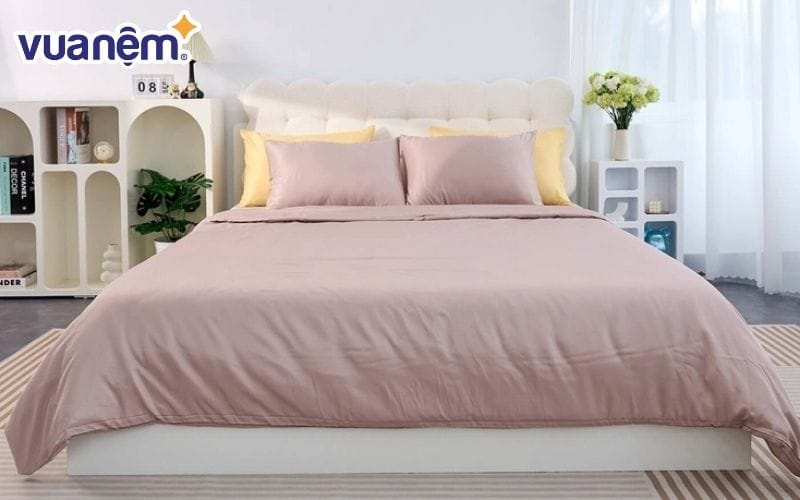 Vua Nệm - Địa chỉ mua chăn ga gối chất lượng cho mùa thu