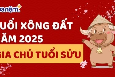 Gợi ý chủ nhà tuổi Sửu chọn người xông đất năm 2025 tài lộc, may mắn