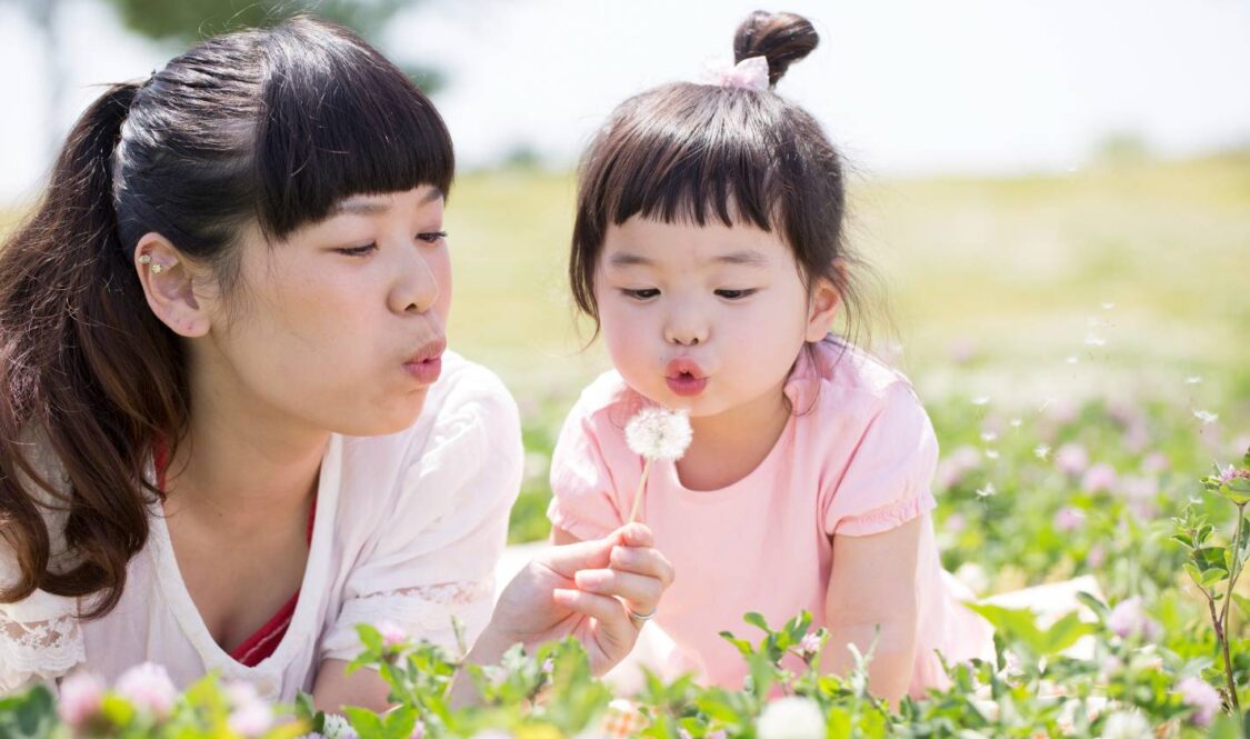 tên đệm cho con gái tên Hòa theo loài hoa